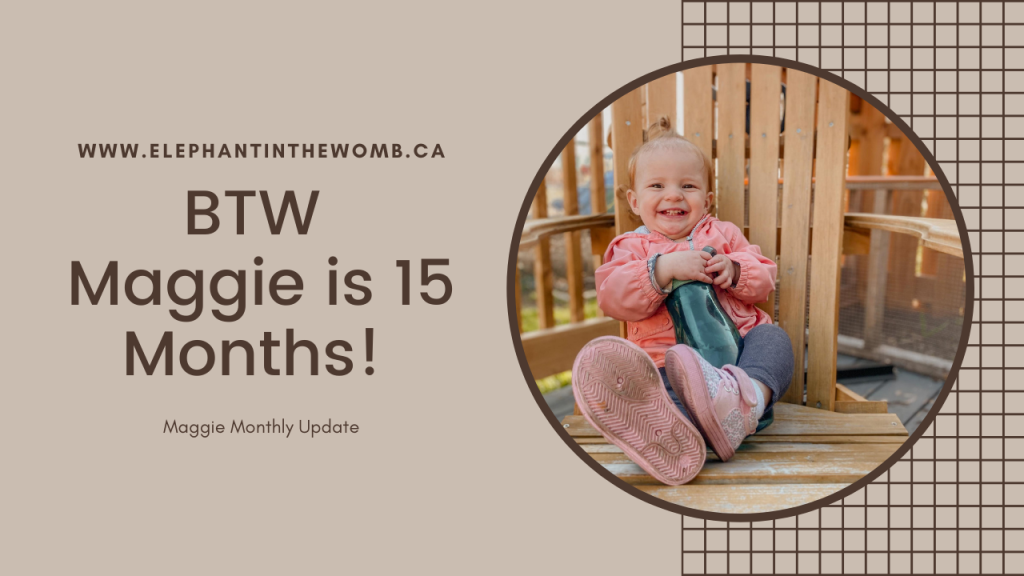 BTW – Maggie is 15 Months!